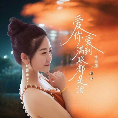 愛你愛到滿眼都是淚 (DJ沈念版)