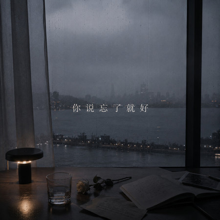 你說忘了就好