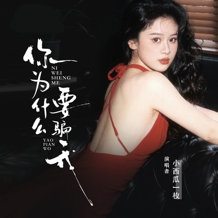 你為什麽要騙我