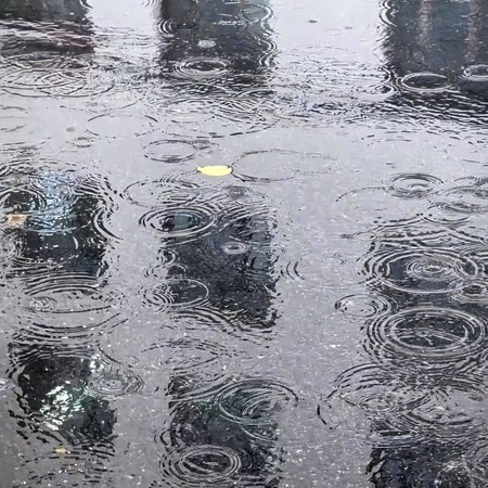 秋雨的思念