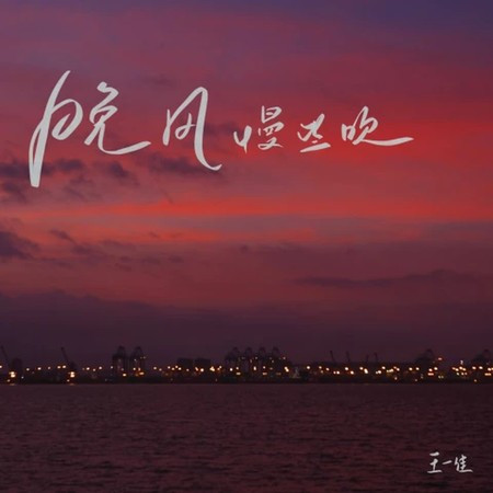 晚風慢些吹 (DJ阿尼現場版)