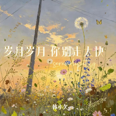 歲月歲月你別走太快