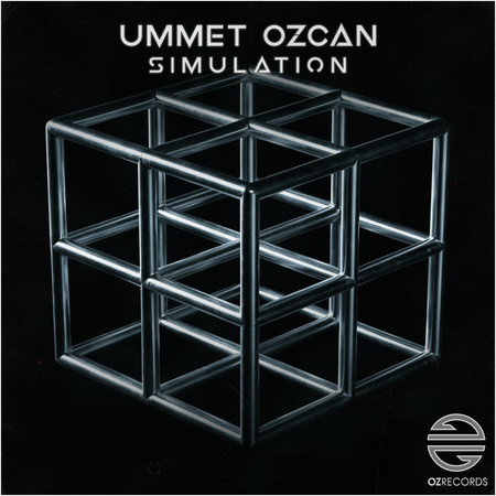 Simulation