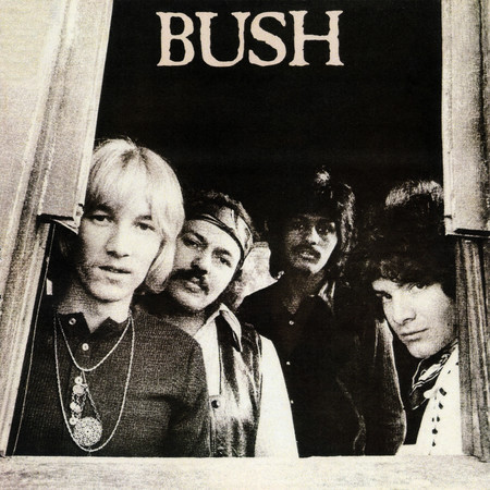Bush