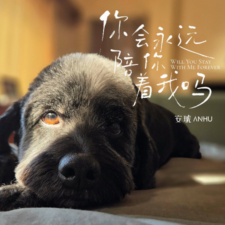 你會永遠陪着我嗎