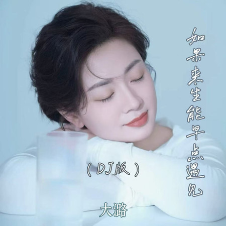 如果來生能早點遇見（DJ版）