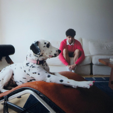 Dalmatian