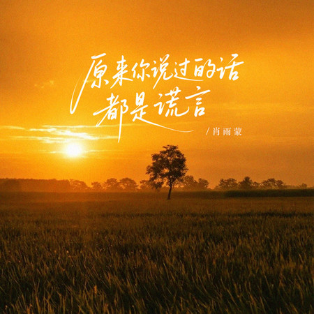 原來你說過的話都是謊言