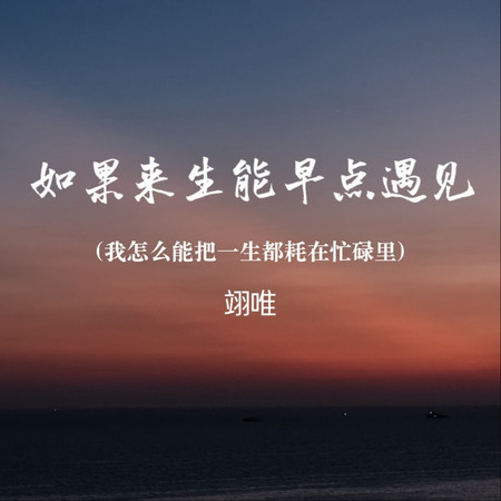 如果來生能早點遇見（我怎麼能把一生都耗在忙碌裏）