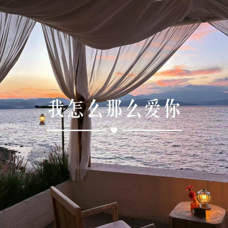 我怎麼那麼愛你