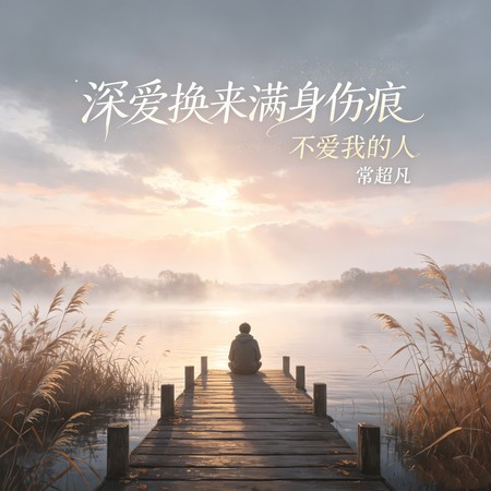深愛換來滿身傷痕（不愛我的人）
