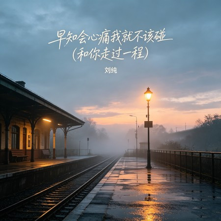 早知會心痛我就不該碰（和你走過一程）