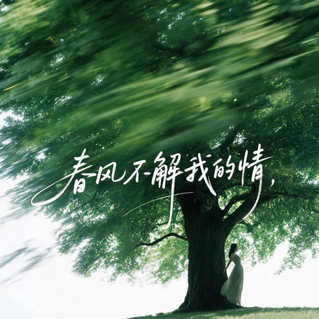 春風不解我的情 (深情女版)