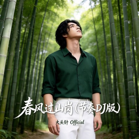 春風過山崗（節奏DJ版）