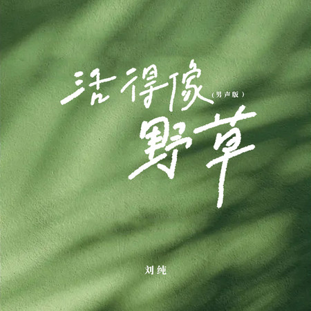 專輯封面