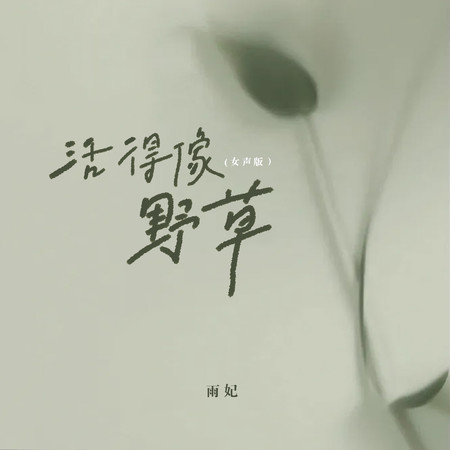 活得像野草(女生版)