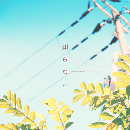 SHIRANAI