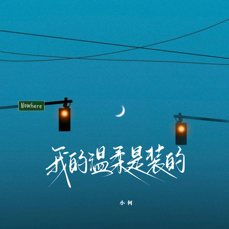 我的溫柔是裝的
