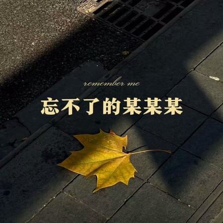 忘不了的某某某 (dj版)