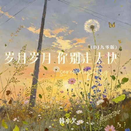 歲月歲月你別走太快 (DJ九零版)