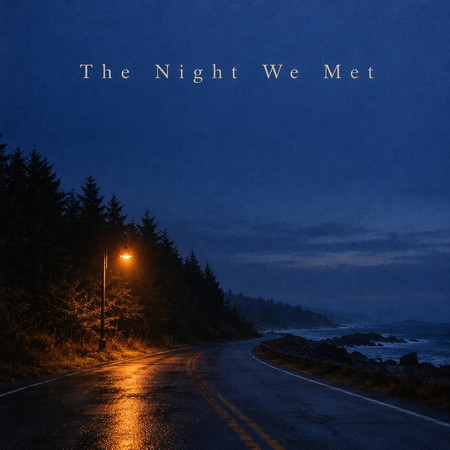 The Night We Met