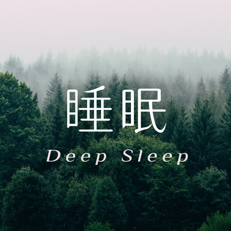 睡眠Deep Sleep