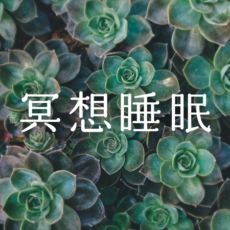 冥想睡眠