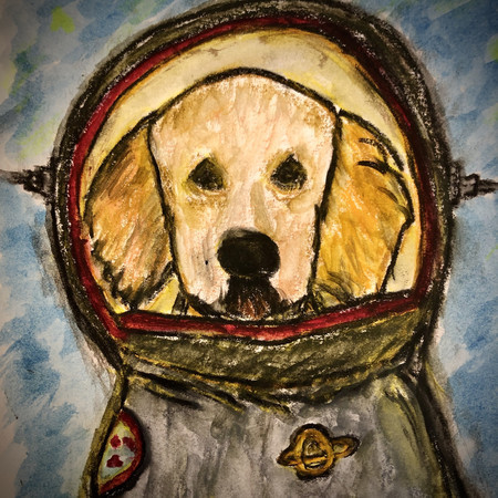 Space Dog Project No9