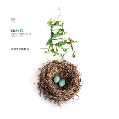 吳金黛 & 孫清松