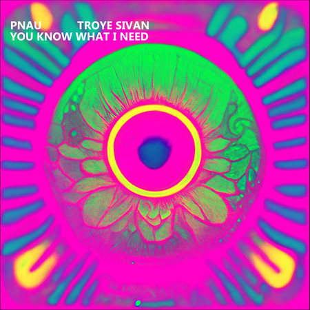 PNAU & Troye Sivan