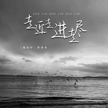 施亦軒, 胖球魚