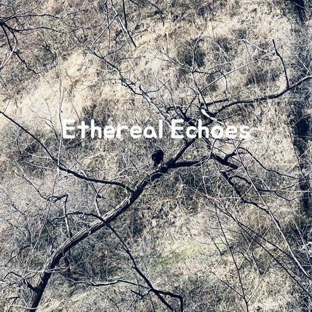 ethereal echoes