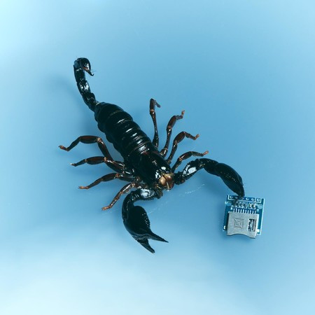 Miguel feat. Lil Yachty