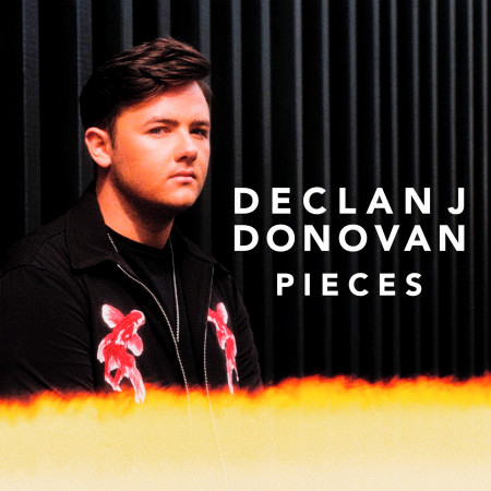 Declan J Donovan