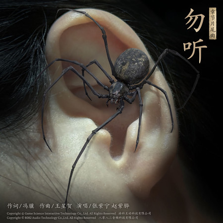 张紫宁, 赵紫骅, 8082Audio