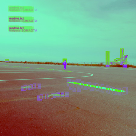 羊駝小姐, SOMAOTA