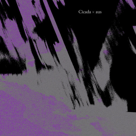 Cicada、aus