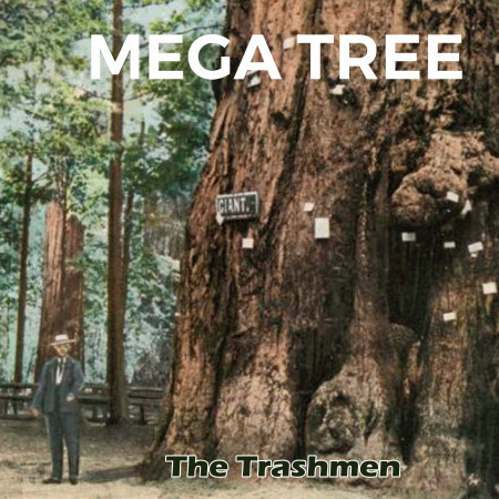 The Trashmen