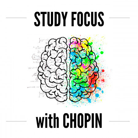 Calm Music for Studying