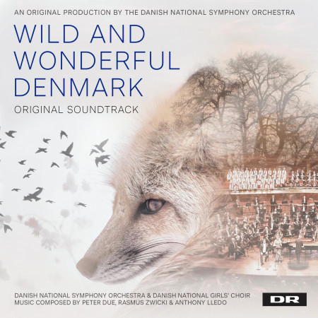 Danish National Symphony Orchestra