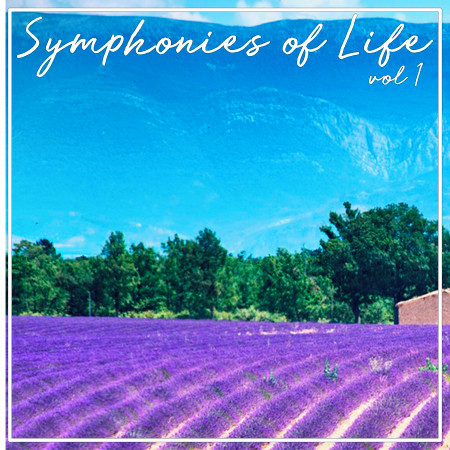 Academy Of St Martin In The Fields