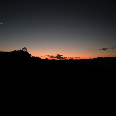 陳宇