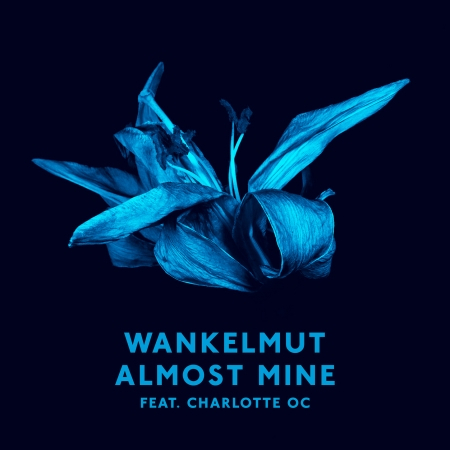 Wankelmut feat. Charlotte OC