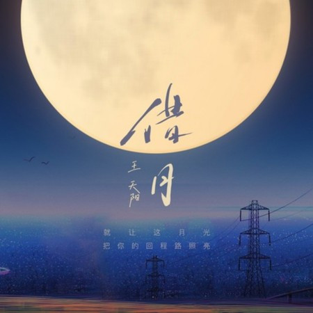 王天阳